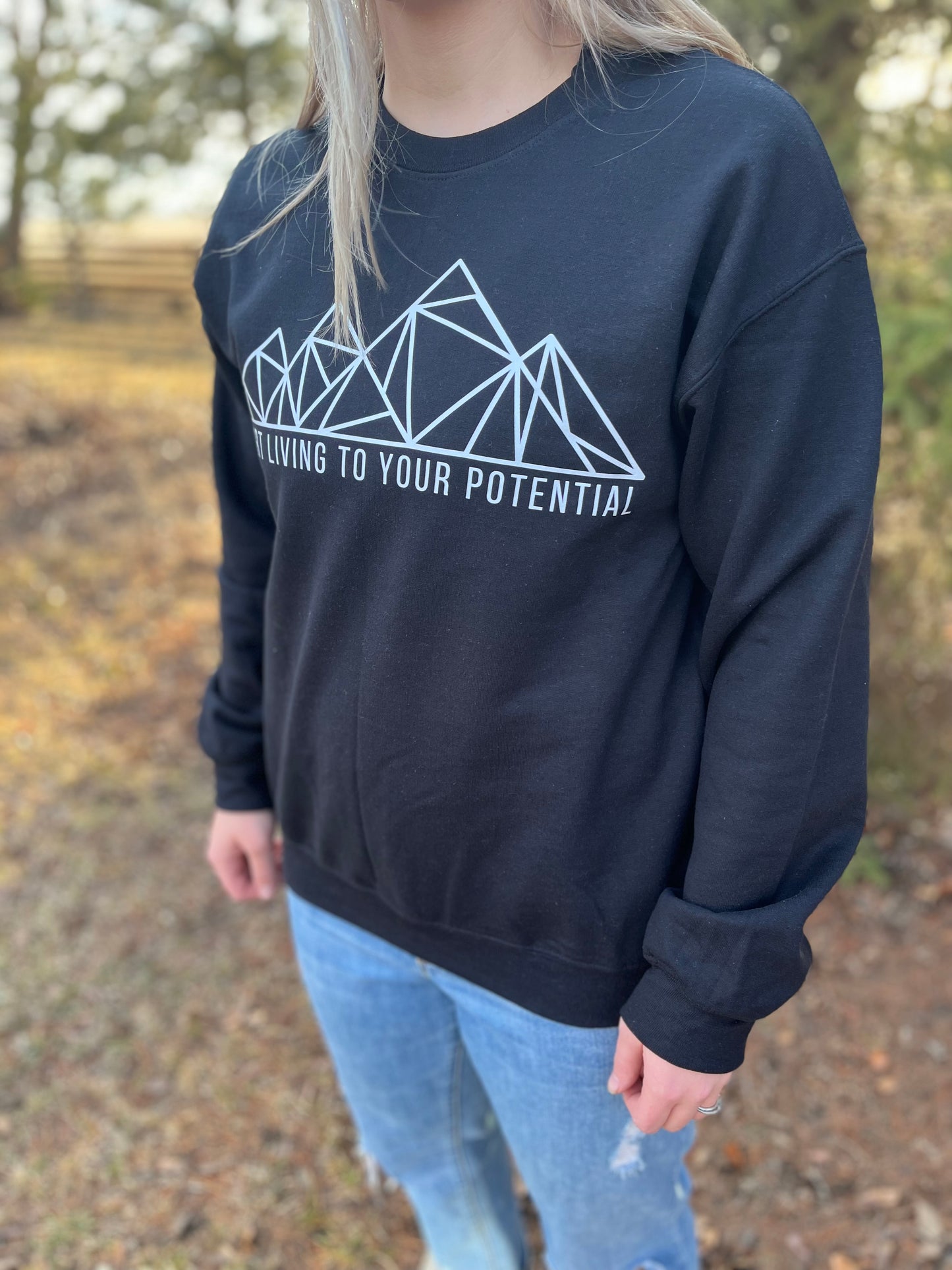 Geometric Mountain Crew